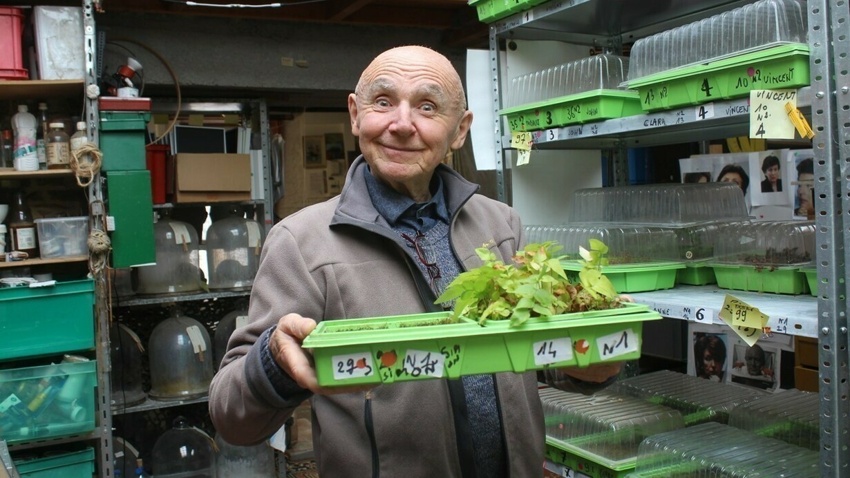 Les Leçons de chausses de Gérard Hauray. 110 micro paysages témoignent de la vie secrète du végétal : sous nos chaussures  s'opèrent des croisements avec la vie urbaine et la colonisation insoupçonnée du minéral
