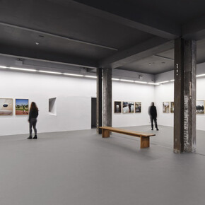 Dragana Jurišić, The last Balkan cowboy, exhibition view. Courtesy of Temple Bar Gallery + Studios