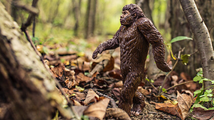 Miniatura de primata em formato de brinquedo na floresta em alusão à teoria da evolução proposta por Charles Darwin