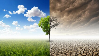 A tree in the middle of nowhere is seen from two perspectives, one is the sunny denial, and the other is the gloomy reality of climate change
