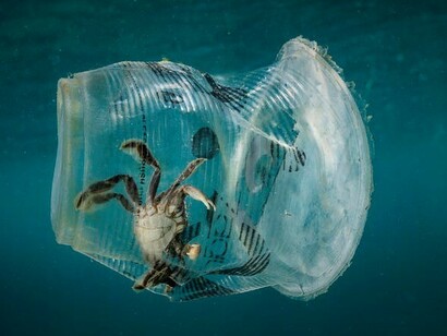 Le microplastiche possono essere trasportate dalle correnti fino a zone dove il mare è profondo