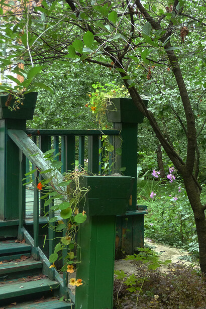 Dacia Pasternak a Peredelkino, foto Simonetta Sandri