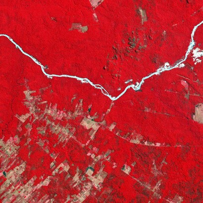 Detalle de imagen satelital tomada por el Observatorio de la Tierra de la NASA en 1992 para dar cuenta del proceso de deforestación en el Mato Grosso
