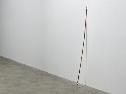 Sreshta Rit Premnath. Courtesy of ACE Gallery