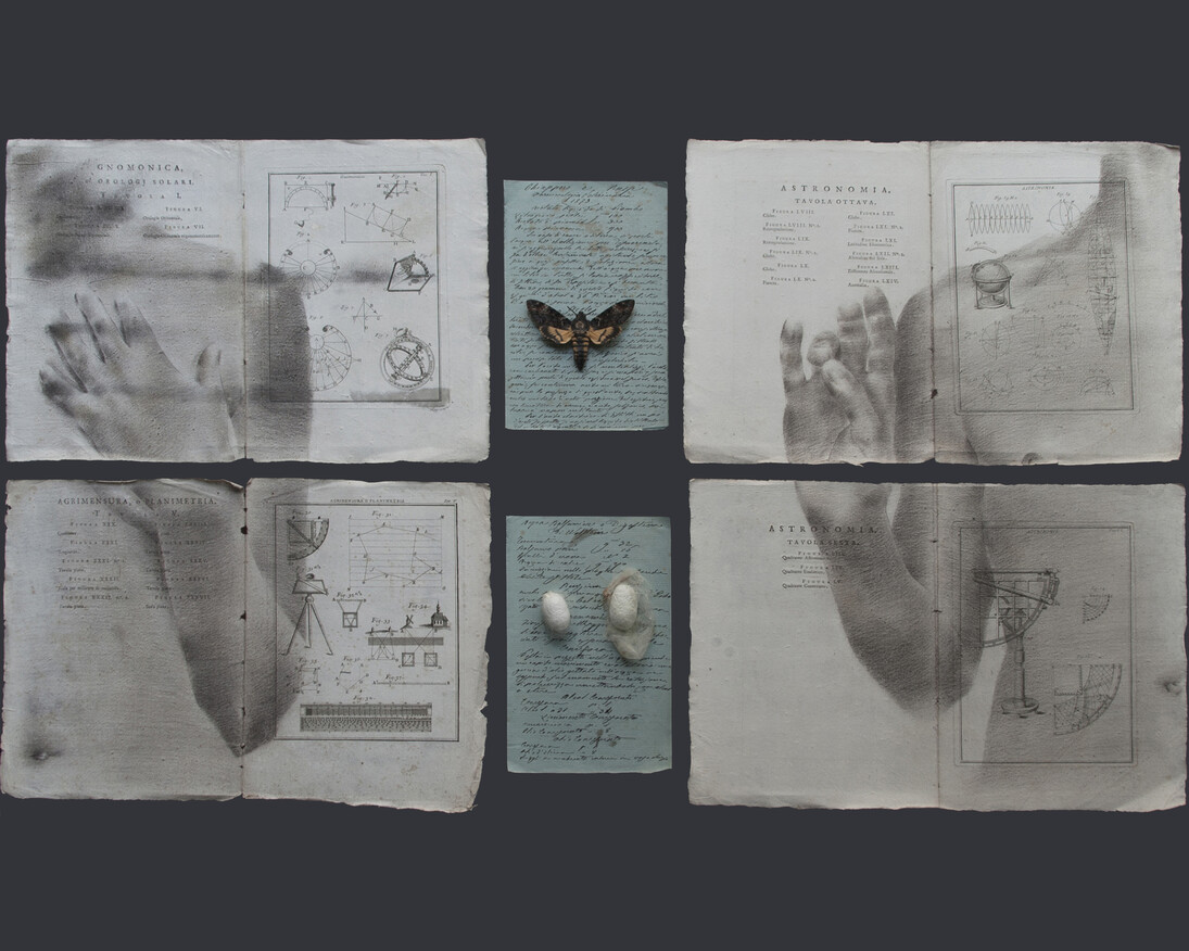 Enrique Moya Gonzalez. Courtesy of Galleria D'Arte Triphè