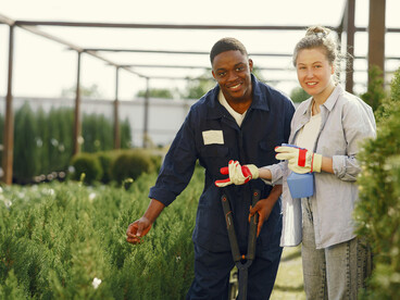 Young people work together to plant trees as part of a community rebuilding and youth cooperation initiative