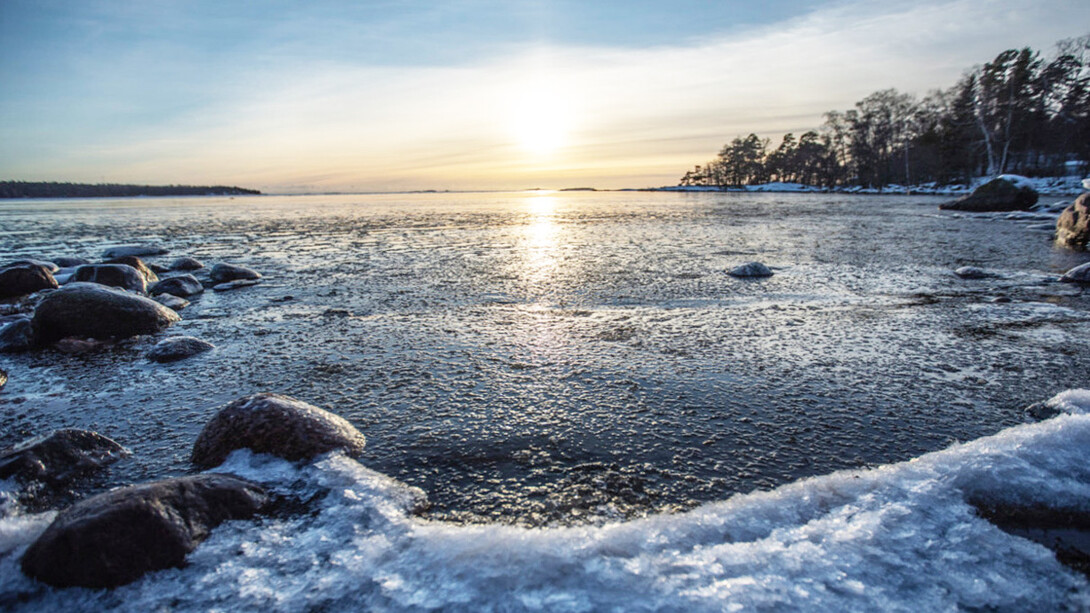 Wintercoast, ph. Michael Stillwater