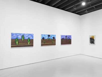 Hein Koh, Hope springs eternal, exhibition view. Courtesy of Anton Kern Gallery
