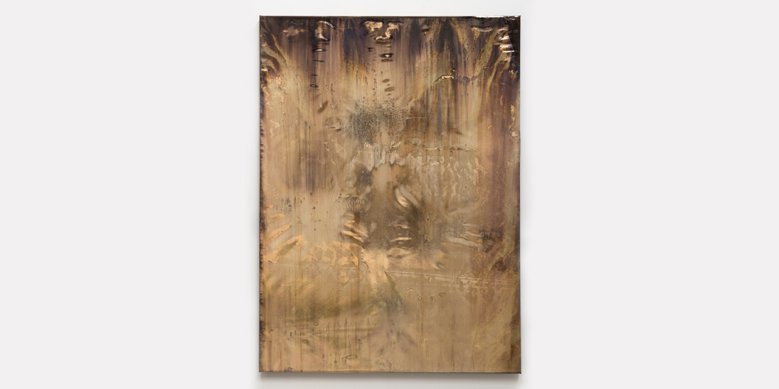Michael Joo. Courtesy of Galeria Carles Taché