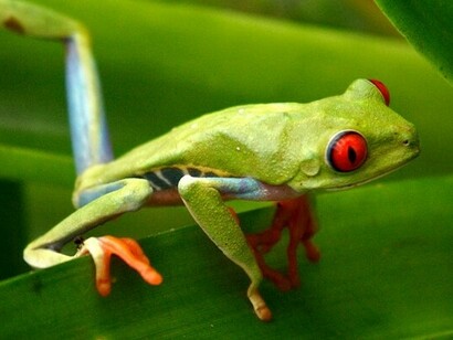 The perilous state of our world, the massive and unrelenting assault on the biosphere and the rapidly accelerating biodiversity crisis 