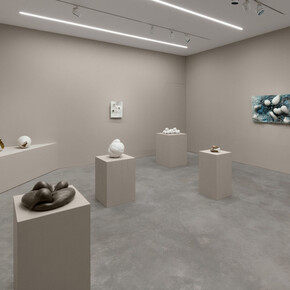 Maria Bartuszová, The butterfly effect, exhibition view. Courtesy of Alison Jacques Gallery