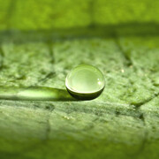 Exhibition Nano- and Biotechnology. Courtesy of Deutsches Museum