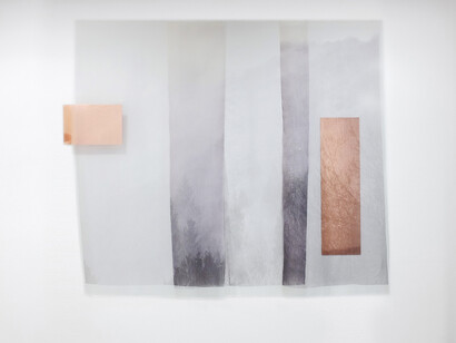 Giulia Cacciuttolo, A safe view from a tamed world IV, 2020. Scansione di pellicola stampata su organza di seta e rame, 140(a) x 4 x 165 cm 