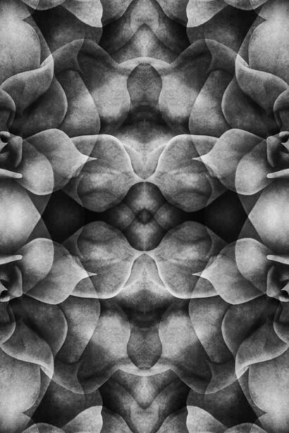 Hayal İncedoğan, No 1, 2019, Hahnemuhle kağıdı üzeri fine art baskı, 40x40cm