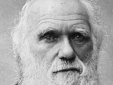 Charles Robert Darwin était un naturaliste, géologue et biologiste anglais, largement connu pour ses contributions à la biologie évolutive.