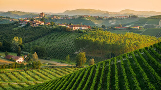 Paesaggio delle Langhe