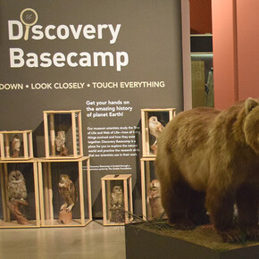 Discovery Basecamp. Courtesy of Carnegie Museum of Natural History