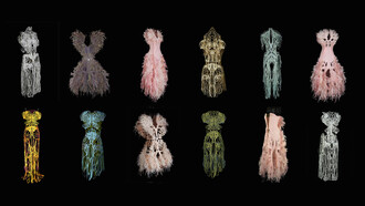 Internal Collection, 2016-2017 by Amy Karle
