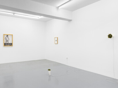 Various artists, Sound field, exhibition view. Courtesy of 3+1 Arte Contemporânea