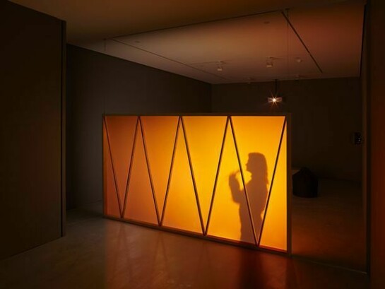 Pauline Boudry / Renate Lorenz, To Valerie Solanas and Marilyn Monroe in Recognition of their Desperation, 2013, Installation with Super 16mm film / HD, 18:00 min, courtesy of the artists and Carroll / Fletcher