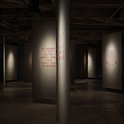 Axel Straschnoy, We believe and accept that these beings exist, exhibition view. Courtesy of EMMA