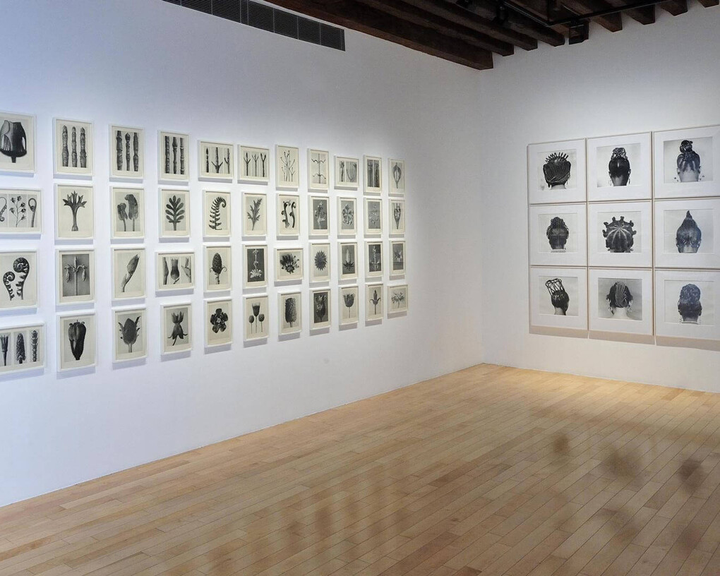 Structures of Identity. Courtesy of Museo Amparo