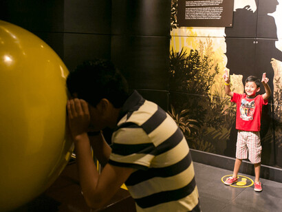 Física Viva. Courtesy of Parque Explora