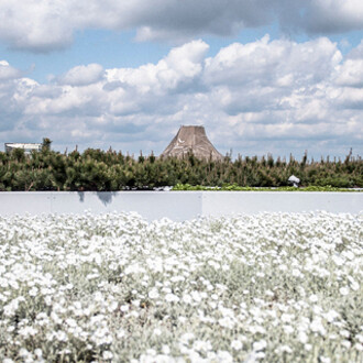 Garden on the rooftop. Courtesy of Copernicus Science Centre 