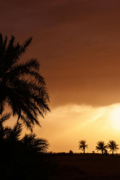 A transição do Saara de um ambiente verdejante para o deserto árido e suas causas climáticas