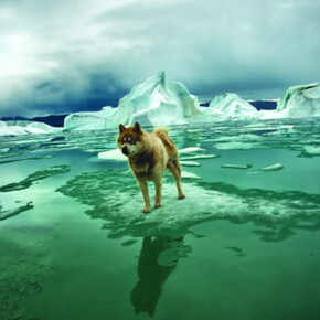 Sebastian Copeland. Courtesy of Camera Work