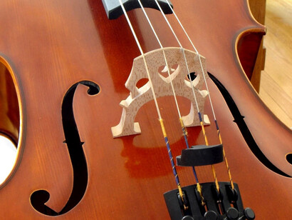 Las cuerdas de violín