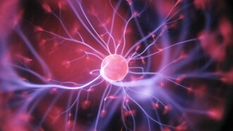 Comunicazione tra le cellule
