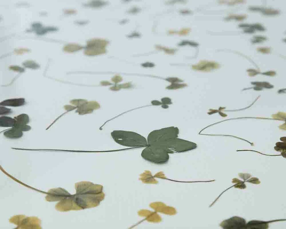 Tacita Dean. Courtesy of Royal Academy of Arts