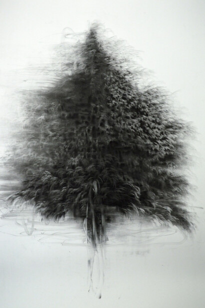 Willie Green. Courtesy of Massey Klein Gallery
