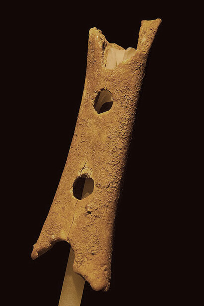 The Divje Babe flute, an alleged Late Pleistocene musical instrument, is estimated to date back to 43,100 ± 700 BP