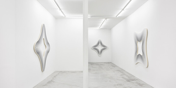 Philippe Decrauzat. Courtesy of Praz-Delavallade
