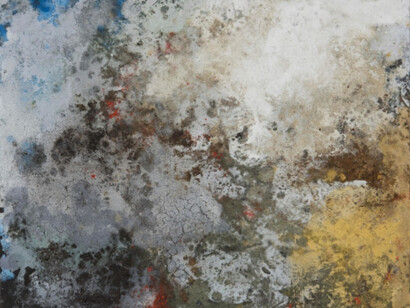 Terra Bruciata. Courtesy of Court Tree Collective