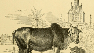 Historia del mundo de John Clark Ridpath (April 26, 1840 – July 31, 1900) : un relato del origen étnico, el estado primitivo, las primeras migraciones, las condiciones sociales y la promesa actual de las principales familias de hombres (1897), USA