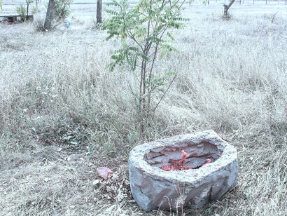 Aljoscha, Gulyaipole intervention, 2015