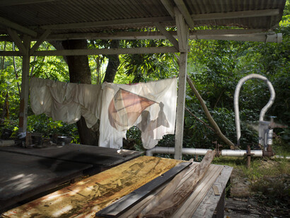 Maica Gugolati, Nacionalismo indutrial