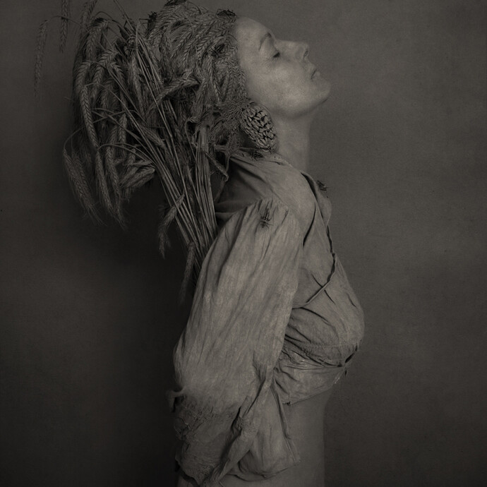 Roberto Kusterle, La sana mietitura, 2014