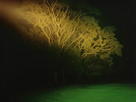 Dayanita Singh, Dream Villa 20, 2007 - 2008,
C-type print, 102 x 102 cm, Courtesy the artist and Frith Street Gallery, London
© the artist 2013