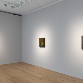 Danielle Mckinney, Second wind, exhibition view. Courtesy of Galerie Max Hetzler
