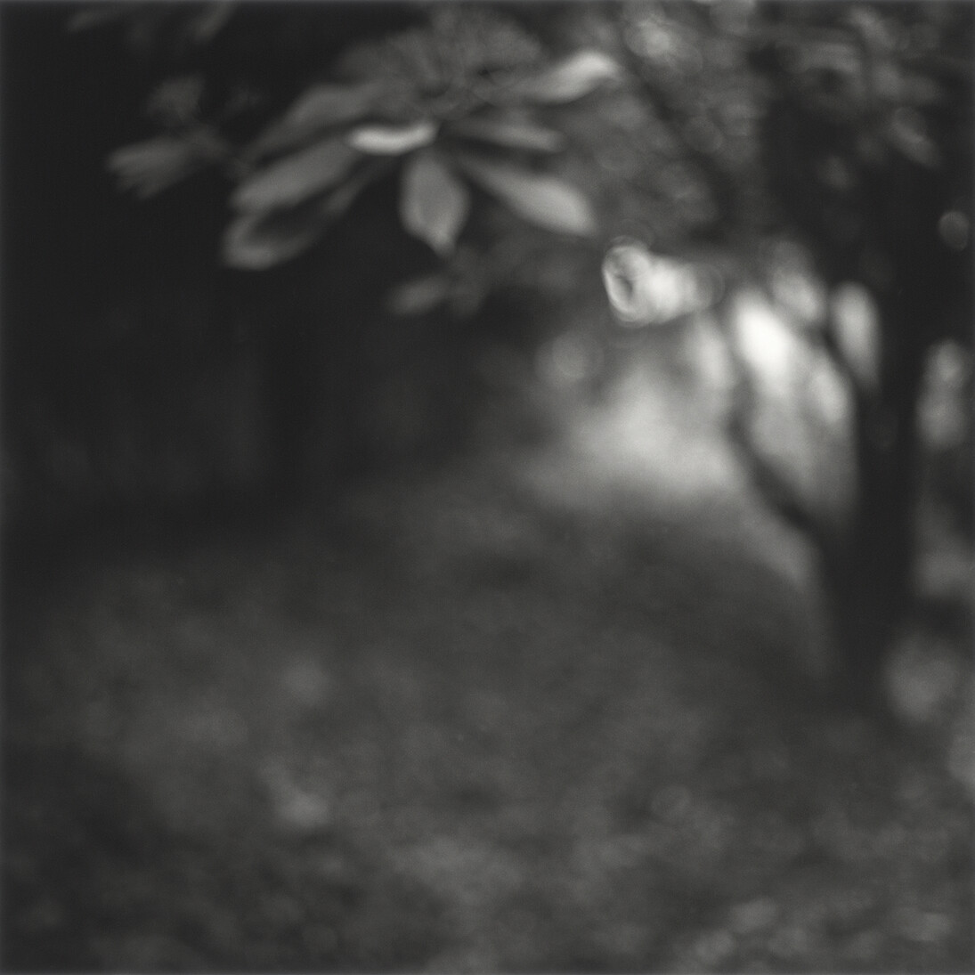 Kirk Palmer, From the series Precious Fragments, 2014, b/w selenium toned silver gelatin hand print © Kirk Palmer