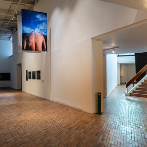 Seba Calfuqueo, Antü ñi kuram [Huevo del sol], vista de exhibición. Cortesía de MAMBO