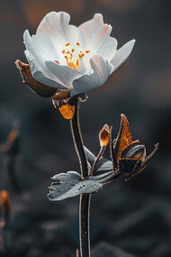 A flower blooming amidst the ashes