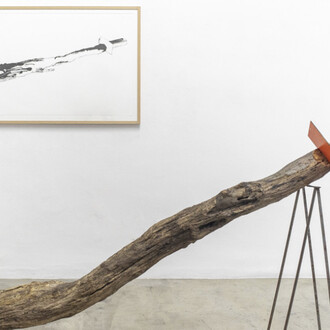 Marcelo Viquez. Courtesy of Kewenig Galerie