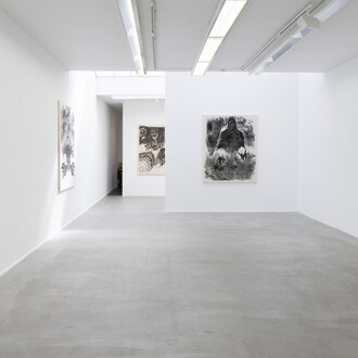 Tiemar Tegene, Mirror, mirror on the wall, who’s the darkest of them all? Exhibition view. Courtesy of Akinci. Photo by Peter Tijhuis