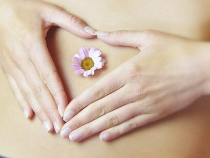 Il sistema tegumentario e l'intestino condividono anche una connessione attraverso la sintesi della vitamina D