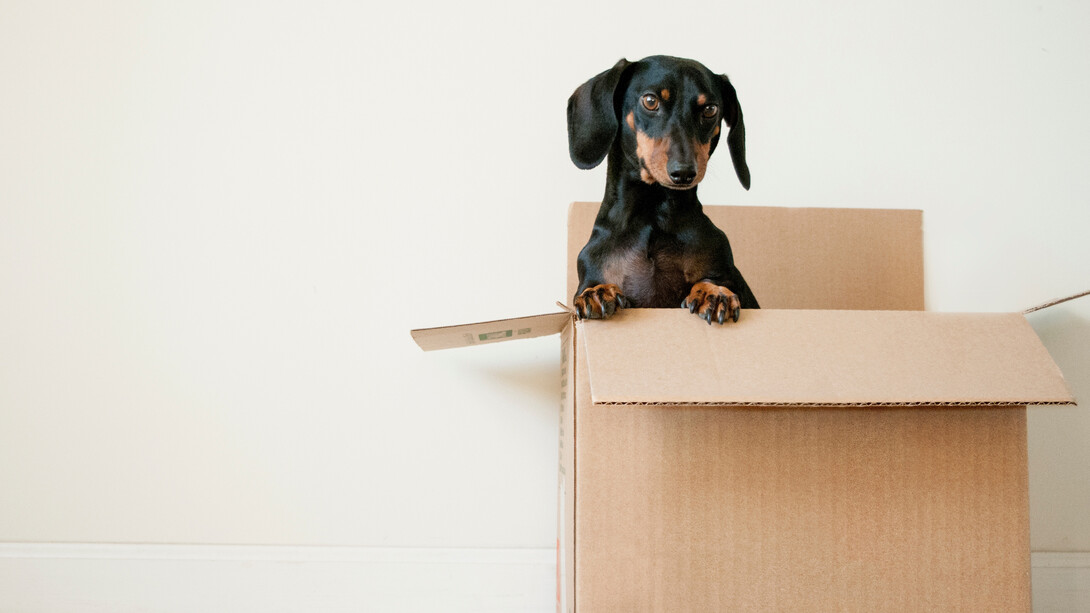 A moving checklist should include more than packing boxes